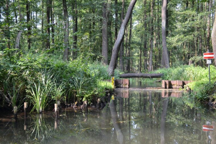 Das Lausitzer Seenland ist eine der schönsten Tourismusregionen in Deutschland. Foto: ichigodesign via pixabay