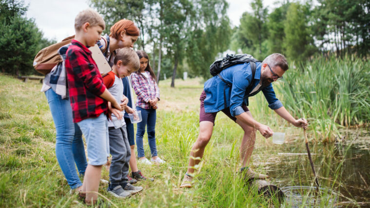 Umweltpädagogik wird in der Schulen immer wichtiger. Foto halfpoint via Envato